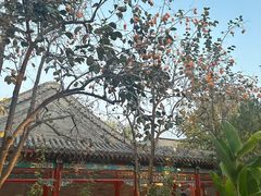 -有喜胶东小馆(太申祥和店)