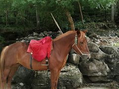 -孤山寨风景区