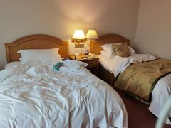 -南京维景国际大酒店(南京博物院店)