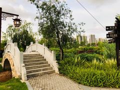 -大亚湾红树林城市湿地公园
