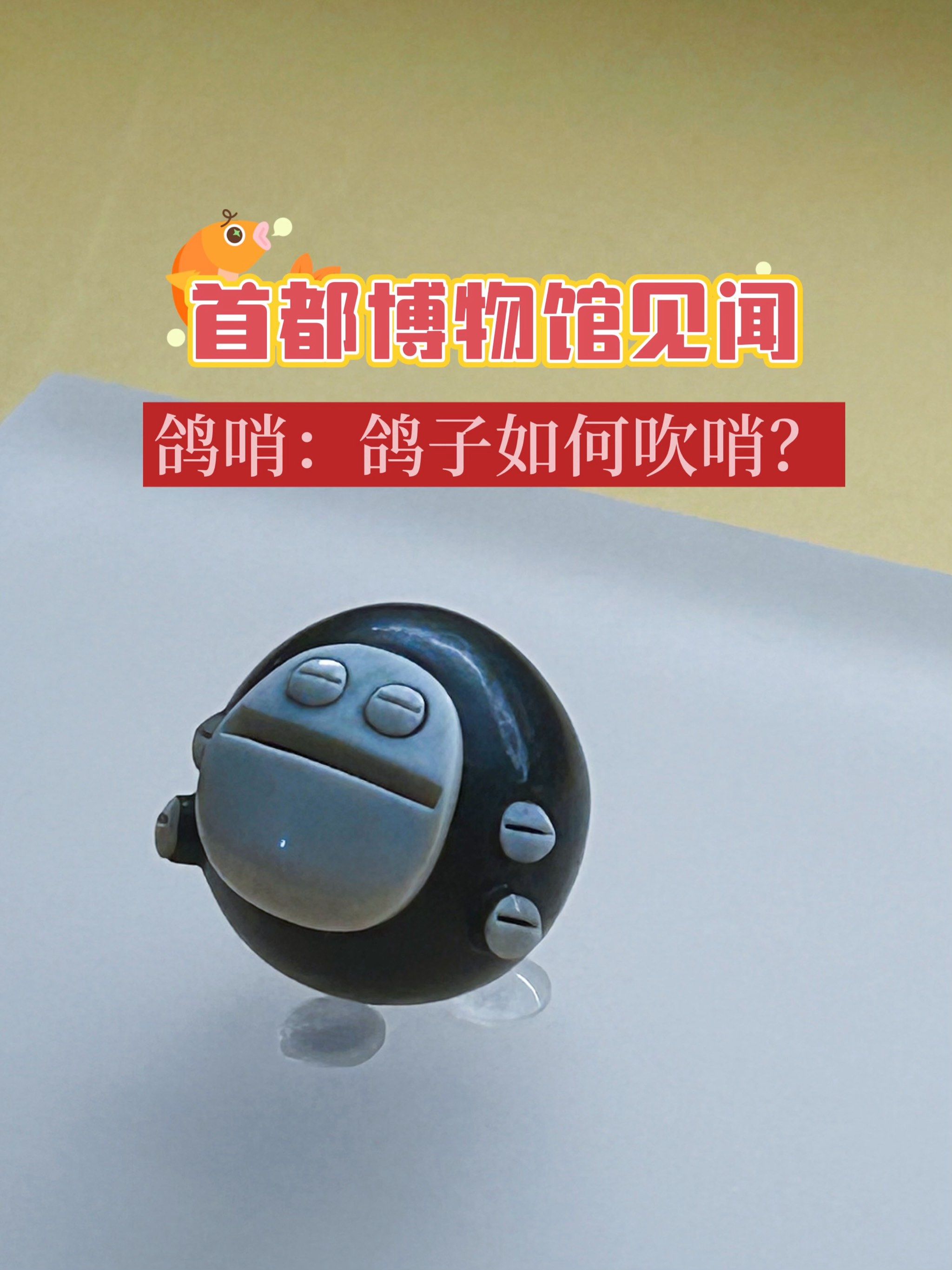 鸽哨:鸽子如何吹哨?首都博物馆见闻