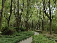 -黄兴公园