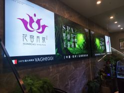点击看大图 -阅年轻·AI家庭健康体质调理