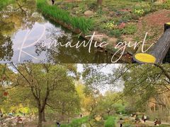 -上海共青森林公园