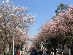 -吉林大学(南岭校区)