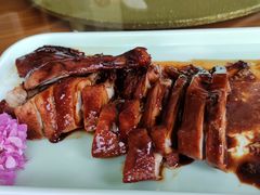 -前小桔亲子创意农场·草莓采摘·露营烧烤