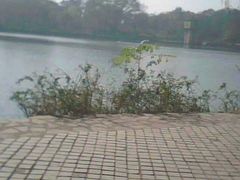 -紫霞湖公园