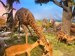 -国家自然博物馆