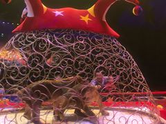-广州长隆国际大马戏