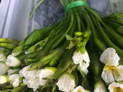 炝炒海菜-海韵人家.海景花园经典云南菜(双廊店)