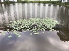 -景德镇中国陶瓷博物馆西山湖凯莱度假酒店