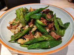 -九毛九西北菜(番禺万达店)