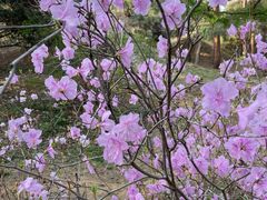 -国家植物园南园