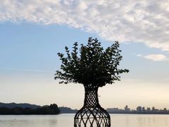 -浙江西子宾馆·瑶园咖啡厅