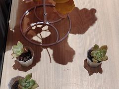 -山四砂锅(太原钟楼街店)