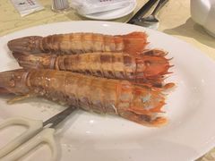 -广东名门