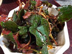 拌折耳根-梯坎豆花