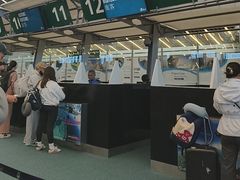 -西沃古尔·拉姆古兰爵士国际机场