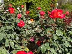 -人民公园(罗湖区)