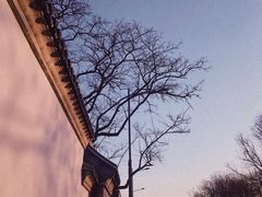 -雍和宫