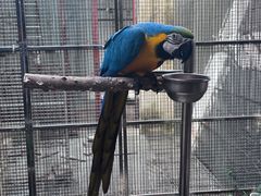 -观桥阁(锦溪店)