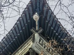 -兰山公园