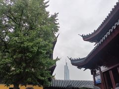 -鸡鸣赐茶(鸡鸣寺路店)