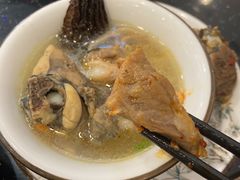 -草墩罗非鱼庄•野生菌•腊排骨(七星街上段店)