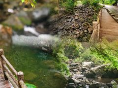 -广州市石门国家森林公园