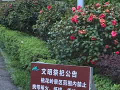 -桃花岭景区