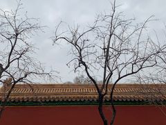 -故宫博物院(故宫)