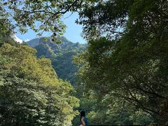 -龙湾潭国家森林公园