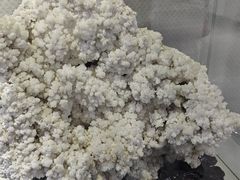 -中国第四纪冰川遗迹陈列馆