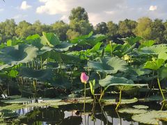 -长春市南湖公园