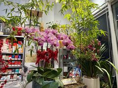 -FEI FEI FLOWER鲜花店·气球派对·宝宝宴布置(虹口德必运动Loft店)