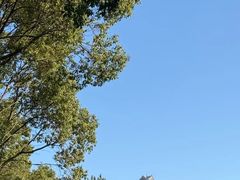 -呼吸森林·生态农庄农家乐私房菜