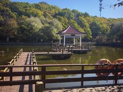 -吉林市朱雀山国家森林公园