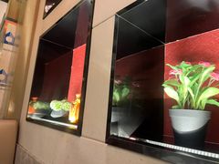 -鸽味轩·粤菜小馆(高楼门总店)