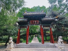 -迎泽公园