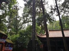 -都江堰普照寺
