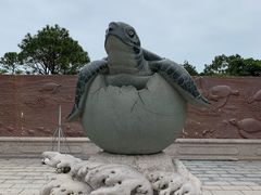 -广东惠东海龟国家级自然保护区
