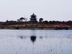 -上海海湾国家森林公园