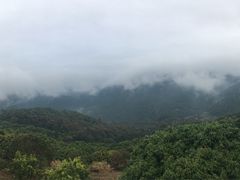 -广州市石门国家森林公园