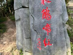 -梧桐山风景名胜区