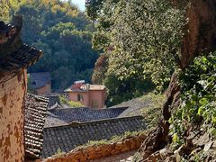 -杨家堂村