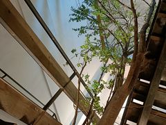 -蜜桃餐厅·伴山(湖滨商业街店)