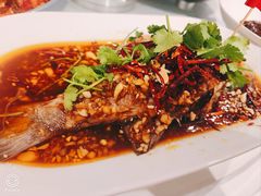 -杨氏青龙虾·羊蝎子(金盛路总店)