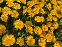 -朝阳公园游乐园