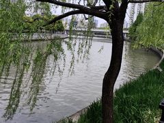 -静安区少年儿童图书馆(康定东路)