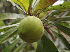 -中国移动南方基地